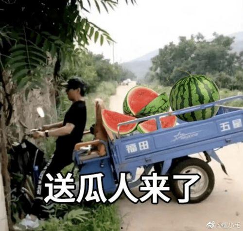 带你吃瓜失控列车,带你揭秘“带你吃瓜”事件背后的惊心动魄